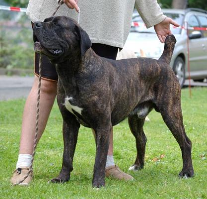 athos